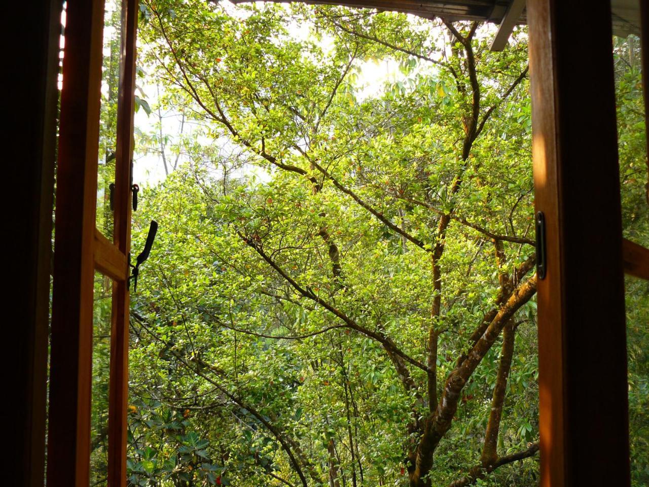 White Villa Kitulgala Exterior photo